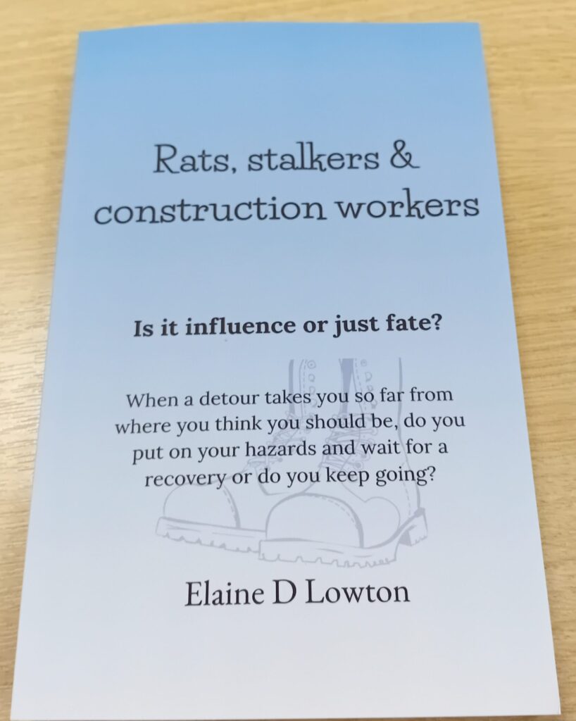 rats, stalkers and construction workers cover
